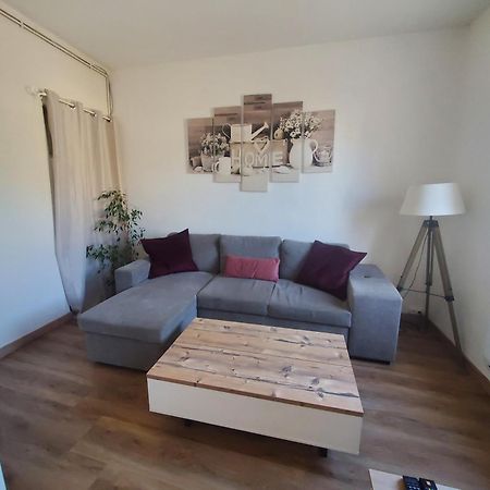 Appartement Lumineux En Centre-Ville Neuves-Maisons Eksteriør bilde